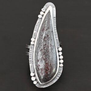 Idan Ring