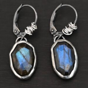 Shake The Frost Earrings