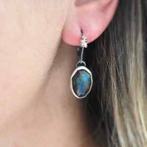 Shake The Frost Earrings