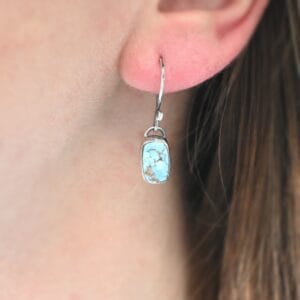 Frost Earrings